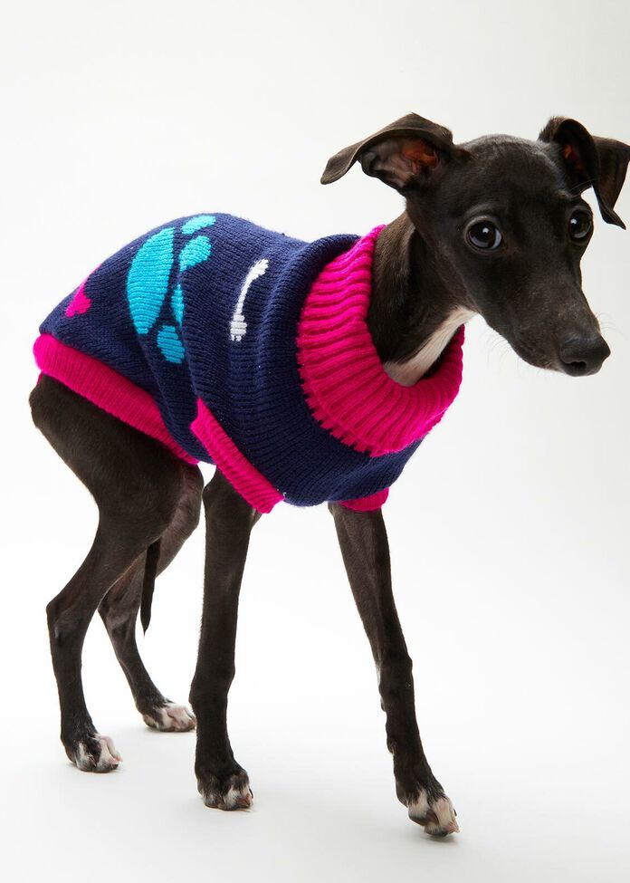 Bone & Paw Knitted Pet Jumper, , hi-res