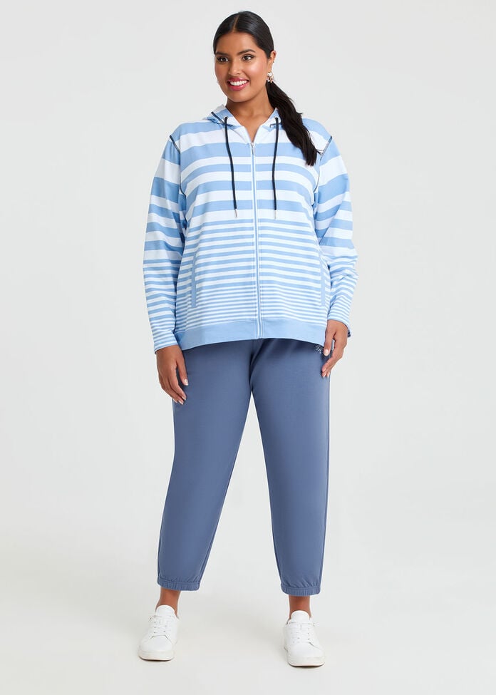 Stripe Zip Through Hoodie, , hi-res