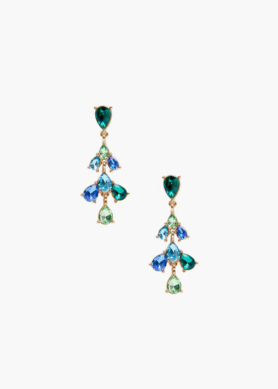 Pretty Jewel Elaborate Earrings