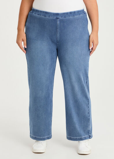 Plus Size Petite Travel Wide Leg Jean