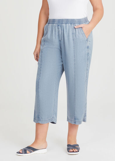 Plus Size Chambray Seam Detail Crop Pant