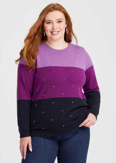 Plus Size Colour Block Crew Neck Jumper