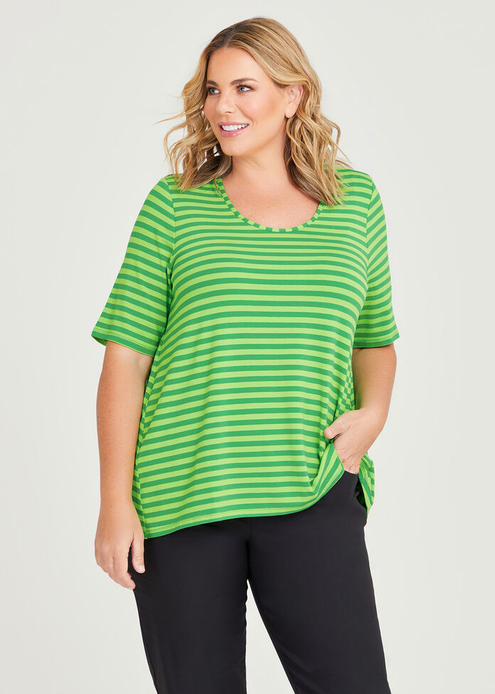 Shop Plus Size Natural Stripe Essential Top in Green | Sizes 12-30 ...