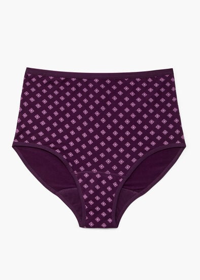 Plus Size Period Leak Proof Undies Heavy