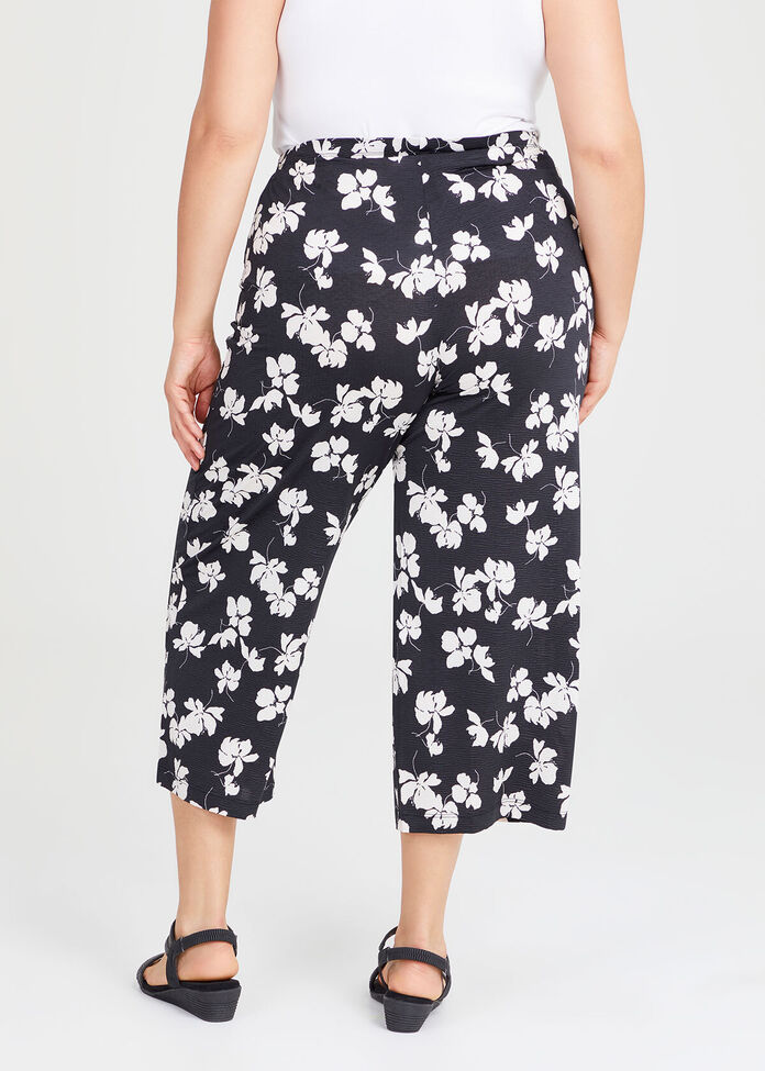 Shop Plus Size Pull On Culotte Pant in Black Sizes 1230 Taking