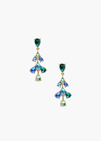 Pretty Jewel Elaborate Earrings