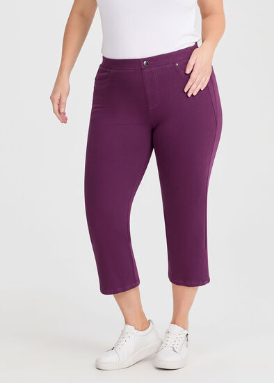 Plus Size The New Bestfriend Crop Jegging