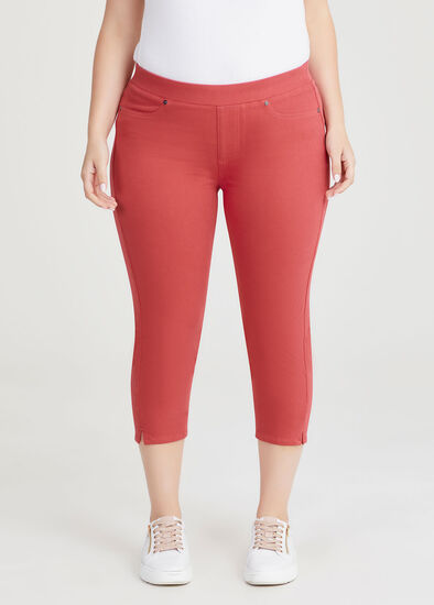 Plus Size The Bestfriend Crop Jegging