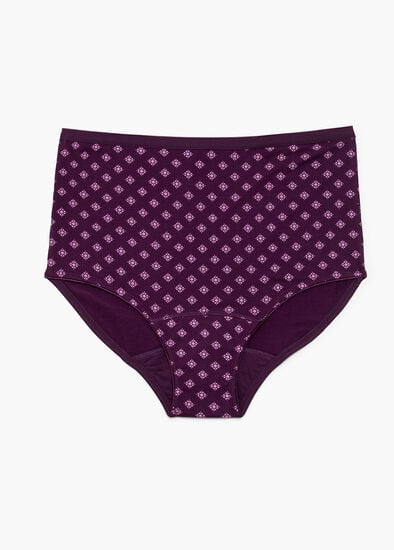Plus Size Period Leak Proof Undies Moderate