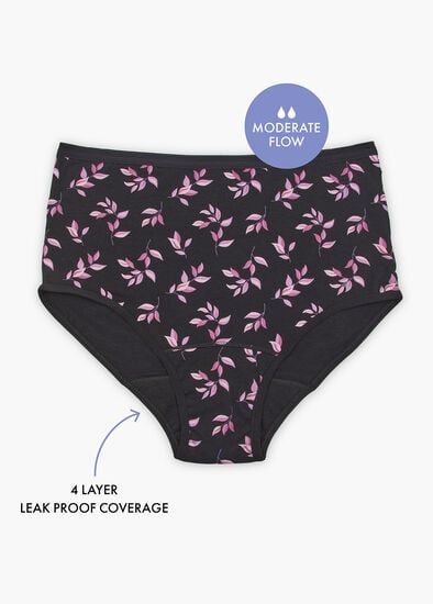 Plus Size Period Leak Proof Undies Moderate