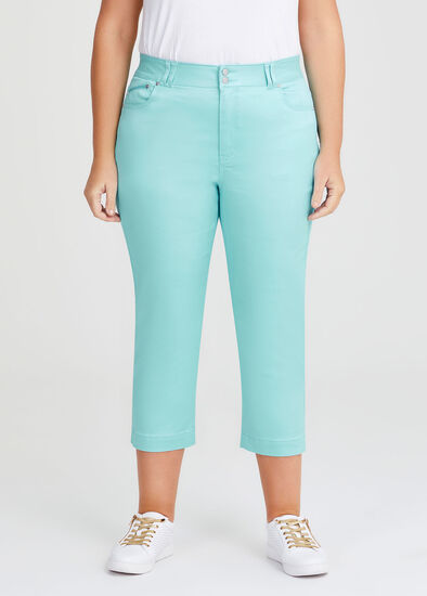 Plus Size The Crop Luxe Looker