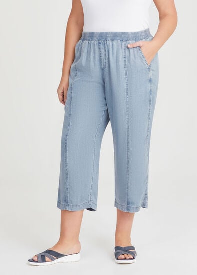 Plus Size Chambray Seam Detail Crop Pant