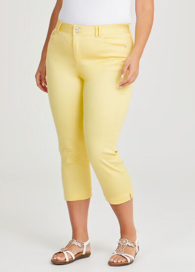 Plus Size The Crop Luxe Looker