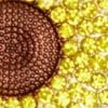 Sunflower Bag Charm, yellow, swatch