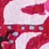 Cotton Gauze Favourite Dress, print, swatch