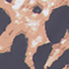 Set of 3 Leopard Travel Cells, leopard, swatch