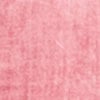 Cotton Floral Broderie Top, sunkist coral, swatch