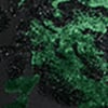 Empire Velvet Cocktail Tunic, black/green, swatch