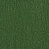 Expose Short, pine, swatch