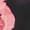 Wild Rose Floral Maxi Dress, floral print, swatch