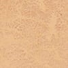 Wide Buckle Stretch Belt, tan, swatch