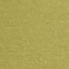 Good Earth Australian Cotton 3/4 Sleeve T-Shirt, kiwi green, swatch