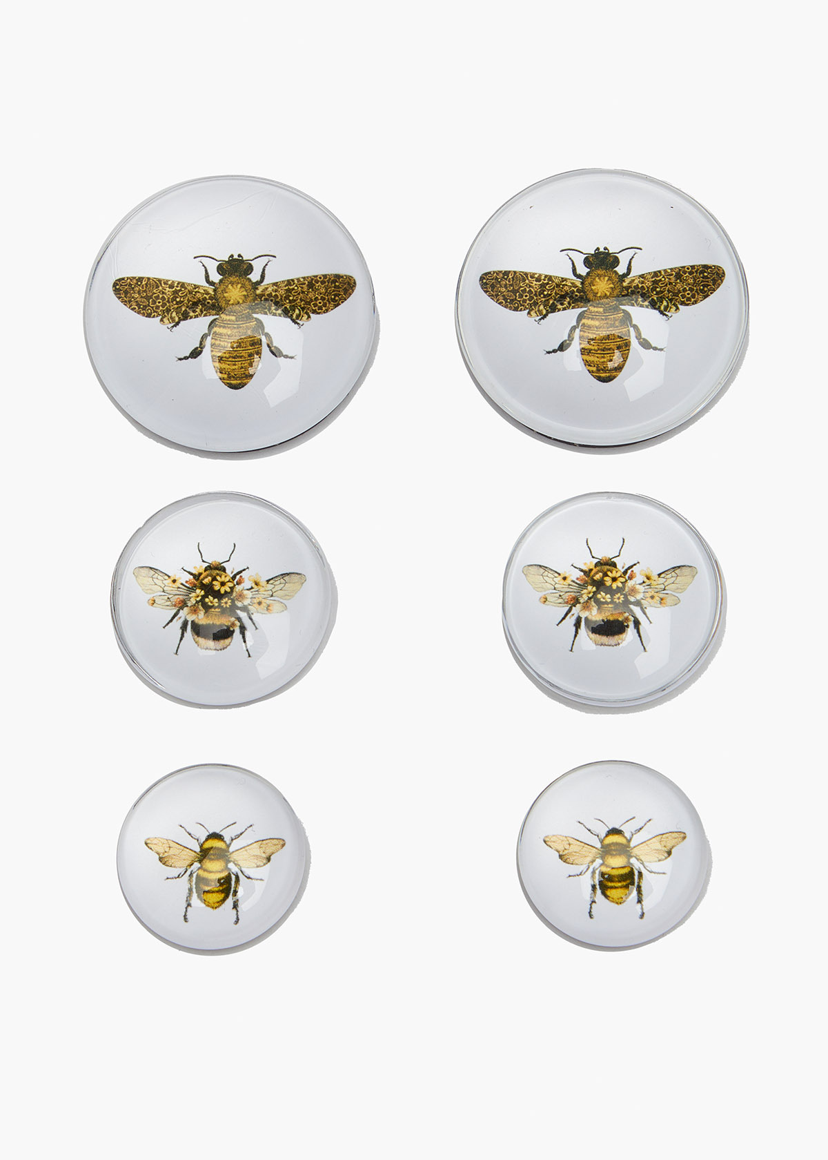 Shop Set of 6 Bee Magnets | Accessories | Taking Shape AU