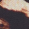 Animal Print Mesh Sarong, , swatch