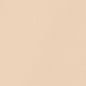 2 Pack Micro Lace Trim Briefs, nude, swatch
