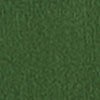 Expose Short, pine, swatch