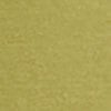 Good Earth Australian Cotton 3/4 T-Shirt, kiwi green, swatch