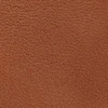 Leather Buckle Knee Boot, tan, swatch