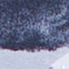 Ruby Rouge Spot Natural Top, pewter print, swatch