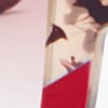 Leopard & Red Sunglasses, red/multi, swatch