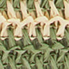 Raffia Stripe Bag, green stripe, swatch