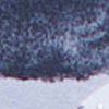 Ruby Rouge Spot Natural Top, pewter print, swatch