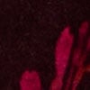 Midnight Rose Velour Cardigan, berry floral print, swatch