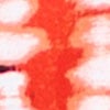 Tulip Spot Colour Natural Dress, print, swatch
