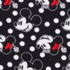 2 Pack Mickey & Minnie Briefs, , swatch